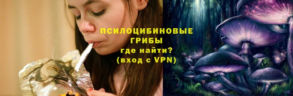 гидра Белокуриха