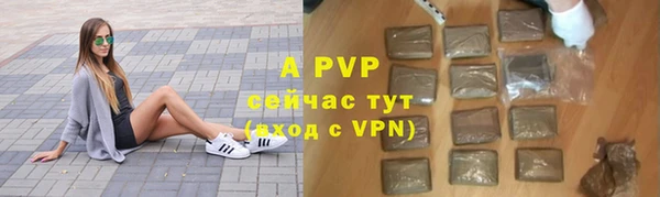 гидра Белокуриха