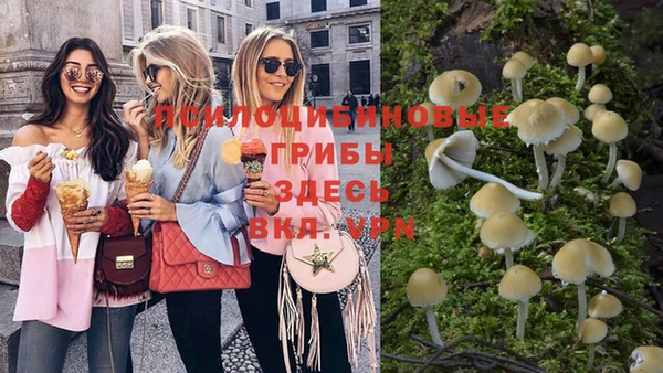 гидра Белокуриха