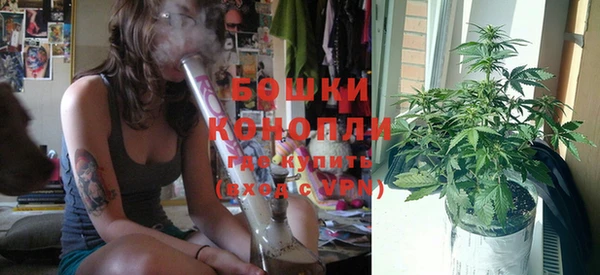 гидра Белокуриха